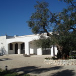 DSC00025