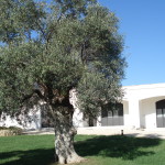 DSC00029