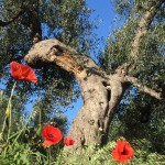 IMG_2435 Marco 15 04 16