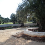 Immagine auronzo + casa ostuni 061
