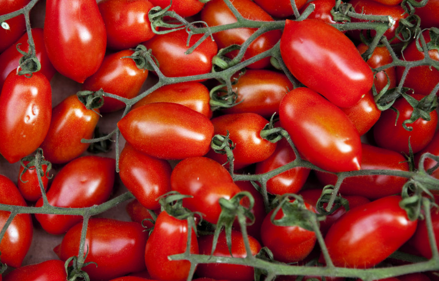pomodori per salsa